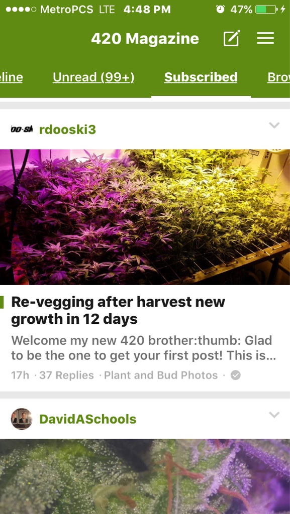 420-magazine-mobile1131857124.jpg