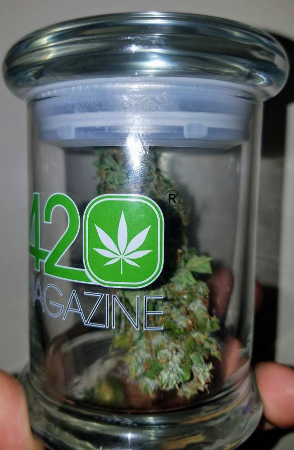 420-magazine-mobile1668462961.jpg