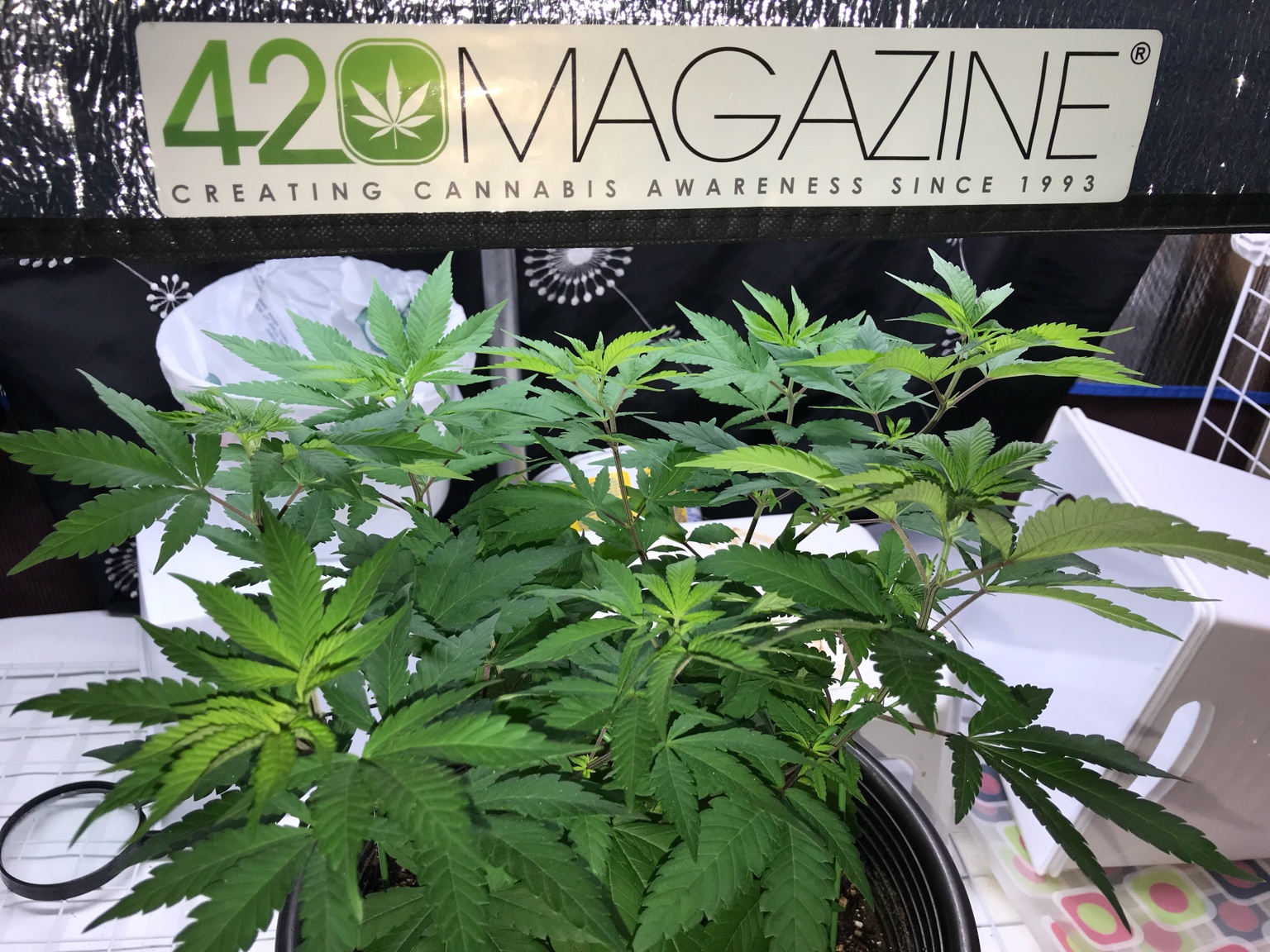 420-magazine-mobile2107108172.jpg