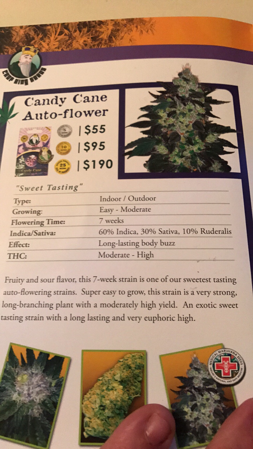 420-magazine-mobile389228306.jpg