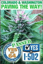 Colorado Washington Legalized Marijuana 2012