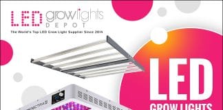 LED Grow Lights Depot Banner_3 LED Grow Lights Depot