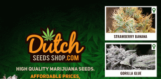 Dutch Seeds Shop