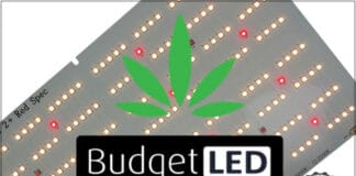 Budget-LED-Large-Banner1 BudgetLED