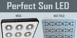 420 Magazine Perfect Sun LED