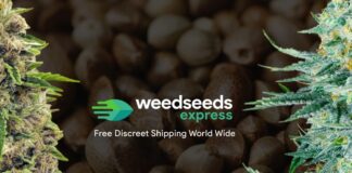 420 Magazine Sponsor Weedseedsexpress