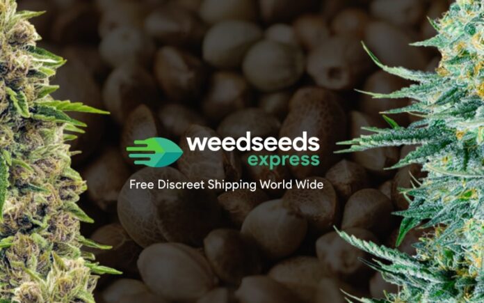 420 Magazine Sponsor Weedseedsexpress