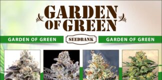 420 Magazine Garden of Green