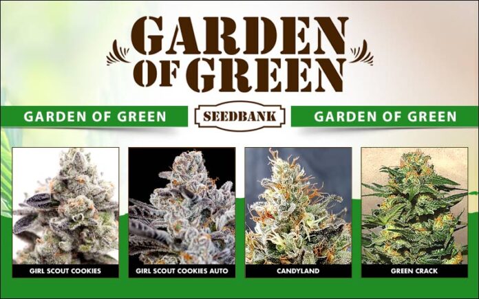 420 Magazine Garden of Green