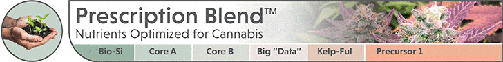 banner Prescription Blend