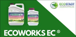 EcoWorks Home Page EcoWorks