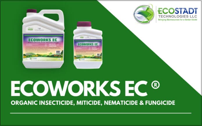 EcoWorks Home Page EcoWorks