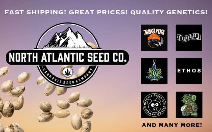 420 Magazine NASC Banner North Atlantic Seed Co
