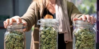 Jars of cannabis alleged violations