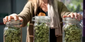 Cannabis jars Massachusetts