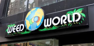 Weed World unauthorized pot shops