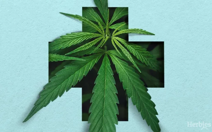 therapeutic-benefits-of-cannabis-a-closer-look therapeutic