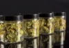 Cannabis jars cannabis industry