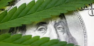 Cannabis and cash SAFE Banking