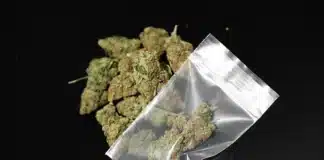 Bag of cannabis Denton