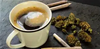 Cannabis and coffee cannabis cafes