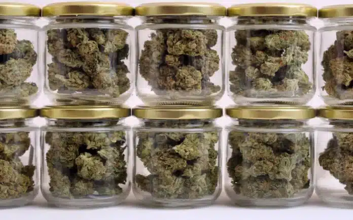 Cannabis jars Ontario