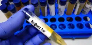 Cannabis test Washington