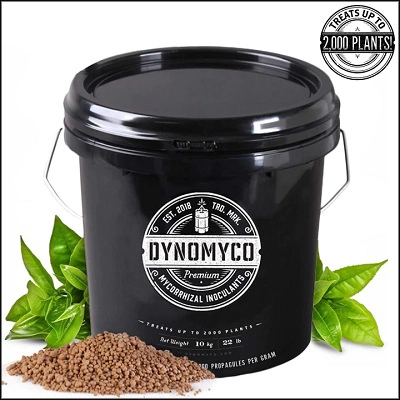 DYNOMYCO 22lb / 10kg 