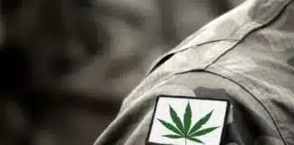 cannabis badge on military uniform Massachusetts