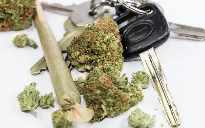 cannabis joint nugs car keys deported