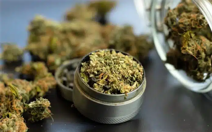 medical marijuana in grinder Alabama