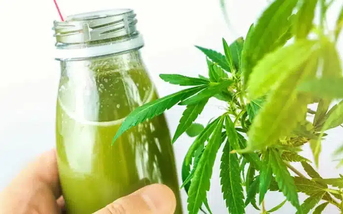 THC infused drink with cannabis plant THC drinks