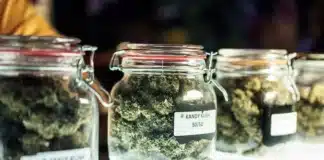 Cannabis jars display in dispensary judge