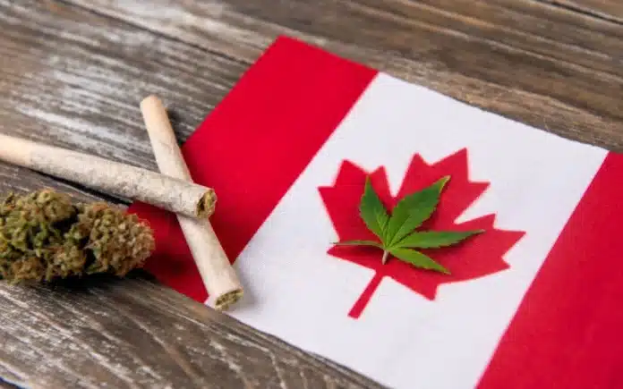 Cannabis and Canadian flag Canada