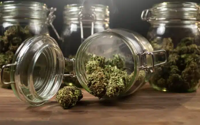 Jars of cannabis Indiana