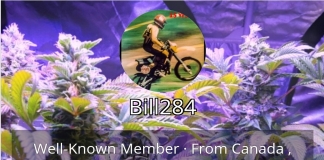 420 Magazine’s Member of the Month March 2024