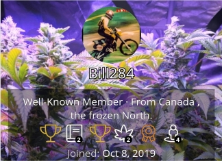 420 Magazine’s Member of the Month March 2024