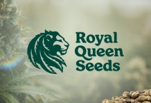 Royal Queen Seeds RQS