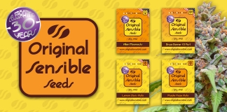 Original Sensible Seeds