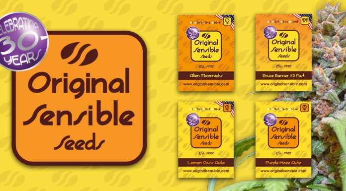 Original Sensible Seeds