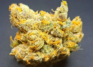 Nug Of The Month August 2024 Preston9mm