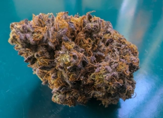 Nug of the Month October 2024